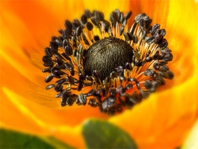 必定红火的店铺名字（服装店店铺起名）