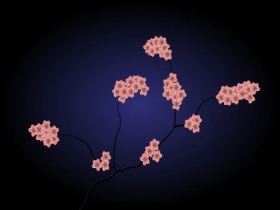 女生网游名字505个