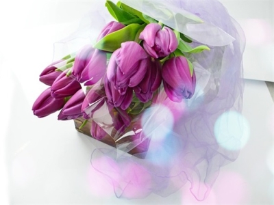 关于貂的诗句(232句)