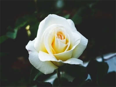 2024公司取名字参考大全 响亮好记企业名字