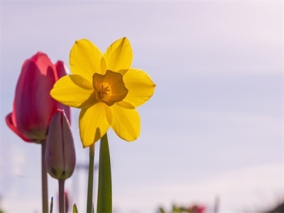 注册食品公司名字大全 简单大气新公司名称推荐