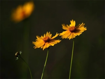 带华字的公司名称 大气吉利新公司名字大全