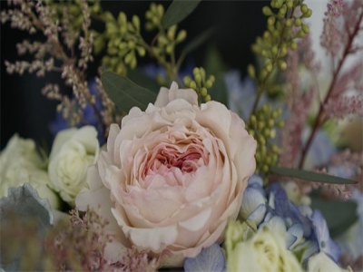 月上柳梢头，人约黄昏后：朱淑真《生查子》赏析