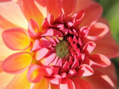 关于致自己心静的句子 看淡一切八字短句