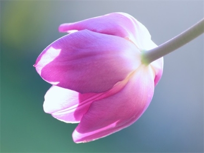 农历初十出生的人整体大运（农历初十晚上戌时出生宝宝起名）