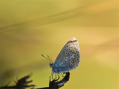 游戏英文名字800个