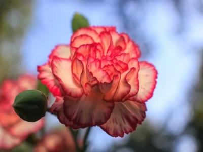 个性微信英文名字 昵称(共194个)