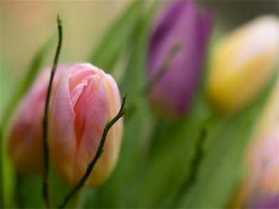 关于烟水的诗句(87句)