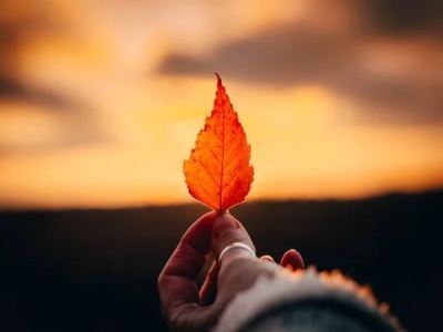 好听的网游情侣名字四字