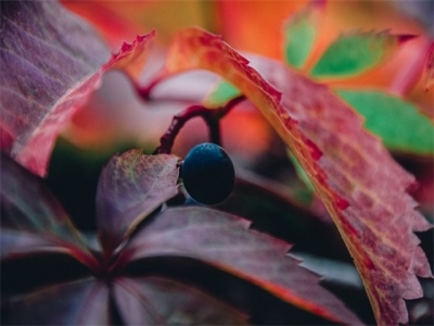 给男友留言的句子73条