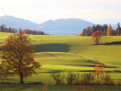 电子店铺起名免费取名（电子店铺取名字大全）
