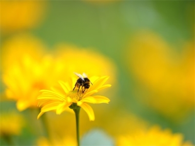 2024年新开公司名字取什么好 最吉利好听的公司名字