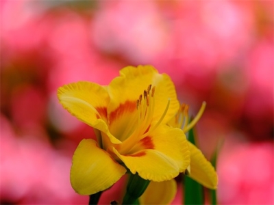 ​适合男孩好听的名字有哪些