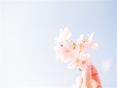 大气聚财的2字公司名称 大气发展前途大好企业名