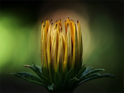 网名带达人字的