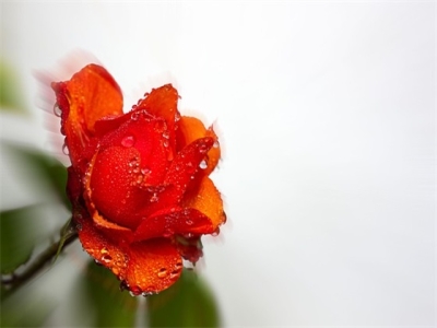 2024年腊月二十一日的五行属性（男宝宝名字推荐）