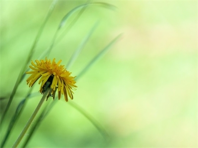 个性单字加符号网名