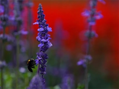 2024年宝宝男孩名字（帅气男宝宝怎么取名1590个）