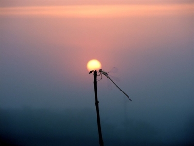 网红杂货铺名字190个