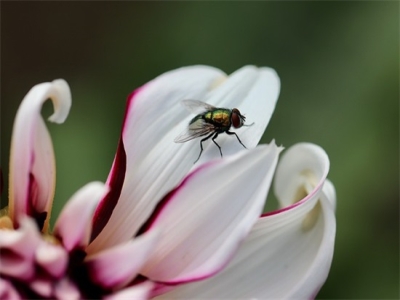 简单又聚财的微信名字（精选350个）